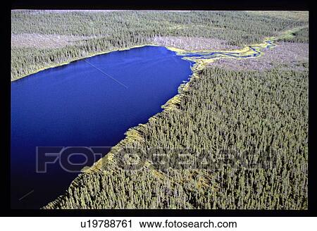 Stock Image - Forest river from above. Fotosearch