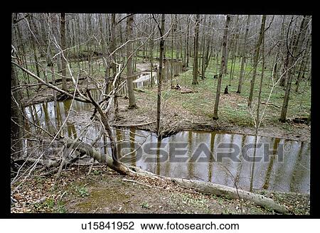 Stock Image - Forest river. Fotosearch