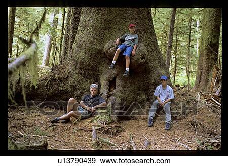 Stock Photo - Hanging out on a tree. Fotosearch