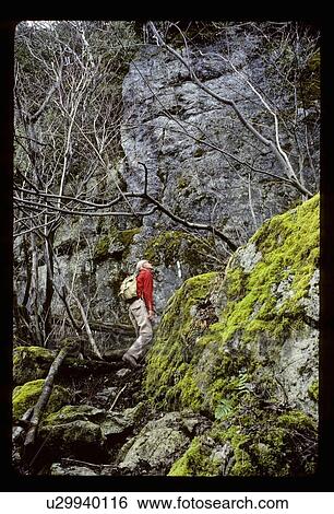 Hiking a mossy cliff View Large Photo Image Stock Photograph - Hiking a mossy cliff . Fotosearch