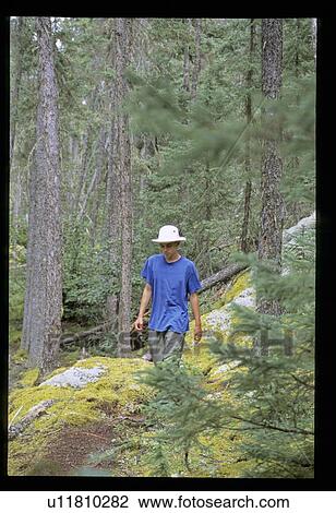 Hiking in the forest View Large Photo Image Stock Image - Hiking in the forest. Fotosearch
