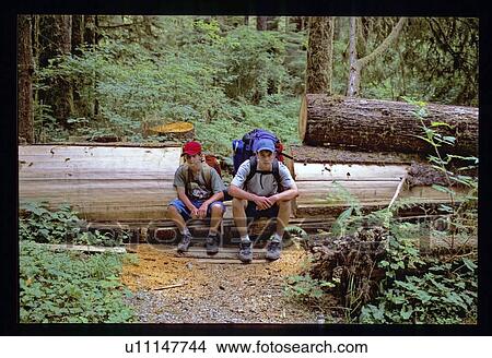 Hiking in the woods View Large Photo Image Picture - Hiking in the woods. Fotosearch
