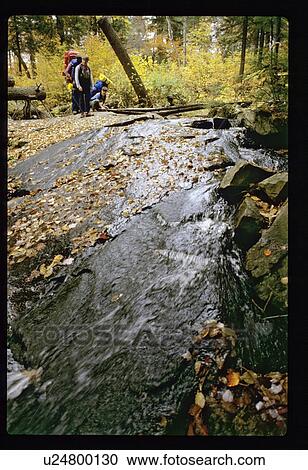 Hiking next to a stream View Large Photo Image Stock Image - Hiking next to a stream. Fotosearch