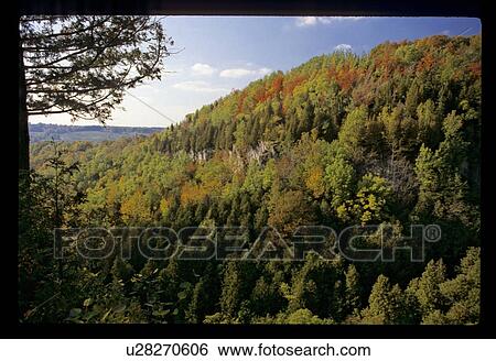 Stock Photograph - Hill covered in trees. Fotosearch