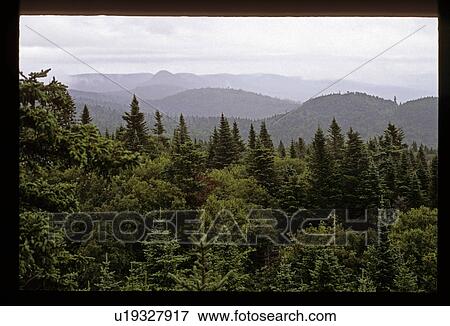Hilly forest View Large Photo Image Stock Photo - Hilly forest . Fotosearch