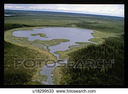 Lake in a forest View Large Photo Image Stock Image - Lake in a forest. Fotosearch