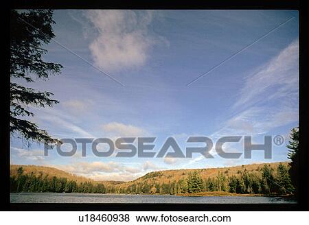 Lake in a forest View Large Photo Image Stock Photo - Lake in a forest. Fotosearch