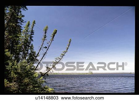 Stock Image - Lake shore. Fotosearch