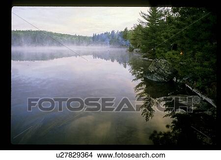 Picture - Lake surrounded by trees. Fotosearch