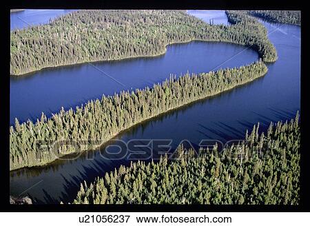 Lake through a forest View Large Photo Image Stock Photo - Lake through a forest . Fotosearch