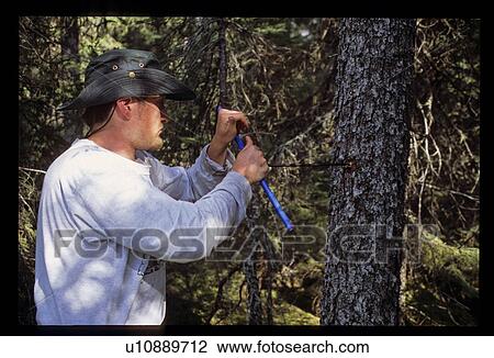 Man in the woods View Large Photo Image Stock Image - Man in the woods. Fotosearch