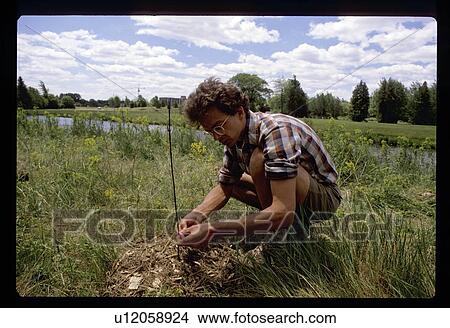 Man planting a tree View Large Photo Image Picture - Man planting a tree. Fotosearch