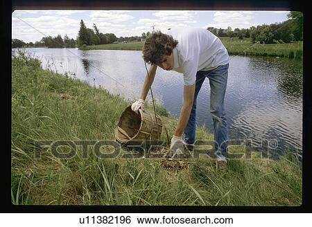 Stock Photograph - Man planting tree. Fotosearch