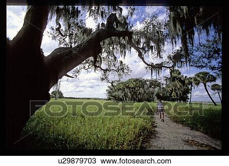 Man walking down a path View Large Photo Image Stock Image - Man walking down a path. Fotosearch