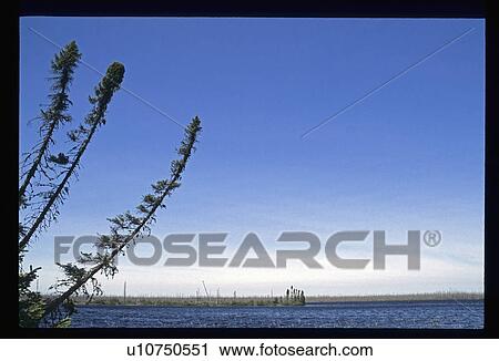 Marsh View Large Photo Image Stock Image - Marsh. Fotosearch