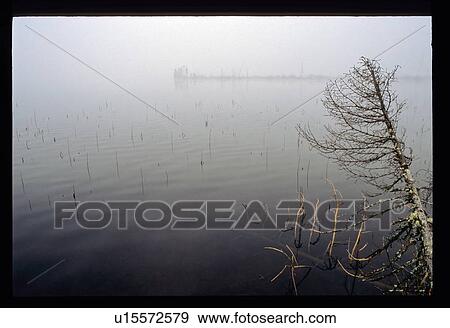 Stock Photo - Misty lake. Fotosearch