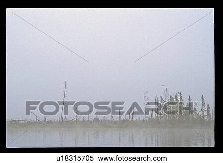 Misty lake View Large Photo Image Stock Photography - Misty lake. Fotosearch