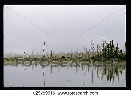 Stock Photography - Misty lake. Fotosearch