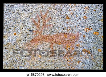 Moose rock drawing View Large Photo Image Stock Image - Moose rock drawing. Fotosearch
