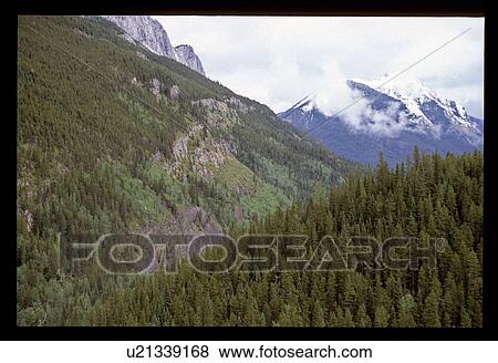 Mountain forest View Large Photo Image Stock Photo - Mountain forest. Fotosearch