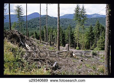 Stock Photo - Mountain landscape. Fotosearch