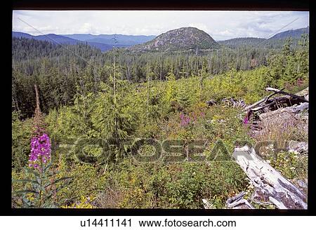 Stock Image - Mountain views . Fotosearch