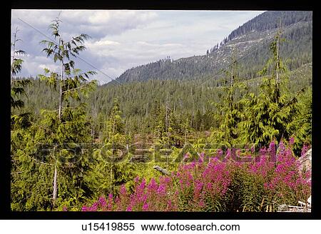 Stock Photography - Mountain views. Fotosearch