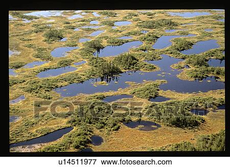 Muddy lake View Large Photo Image Stock Photo - Muddy lake. Fotosearch