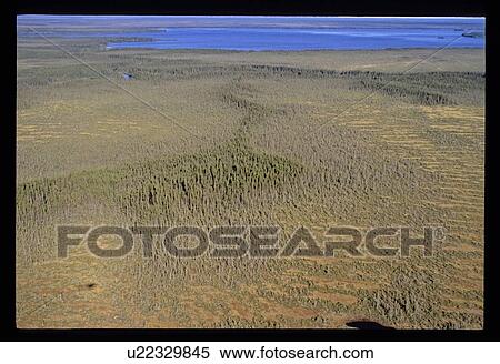 Stock Photography - Muddy shoreline. Fotosearch