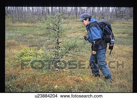 Nature hike View Large Photo Image Picture - Nature hike. Fotosearch