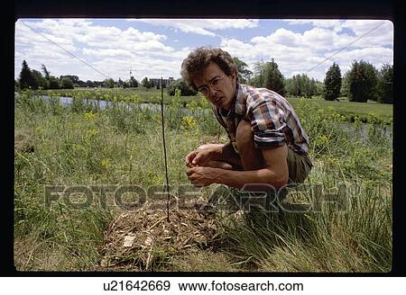 Stock Photo - Planting a tree. Fotosearch