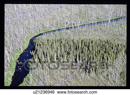 River in a forest View Large Photo Image Stock Photograph - River in a forest . Fotosearch