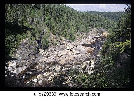 River through a forest View Large Photo Image Stock Photo - River through a forest. Fotosearch
