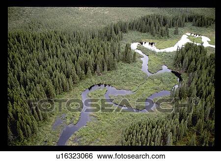 River through a forest View Large Photo Image Stock Photograph - River through a forest. Fotosearch