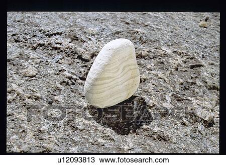 Stock Image - Rock. Fotosearch