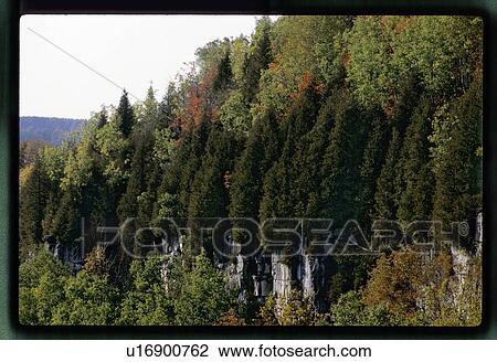 Stock Image - Rocks covered with trees. Fotosearch