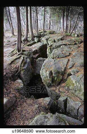 Rocky forest floor View Large Photo Image Stock Image - Rocky forest floor. Fotosearch