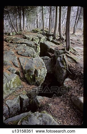 Rocky ground with tree roots View Large Photo Image Stock Image - Rocky ground with tree roots. Fotosearch