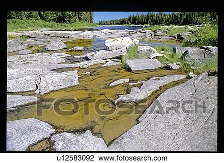 Stock Image - Rocky shoreline. Fotosearch