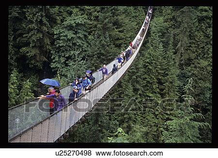Stock Photo - Rope bridge over a forest. Fotosearch