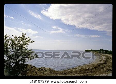 Stock Photo - Sandy shoreline. Fotosearch