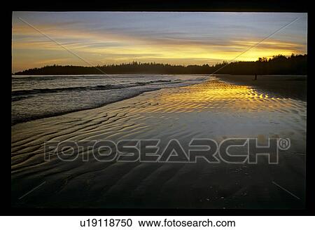 Stock Image - Shoreline at sunset. Fotosearch