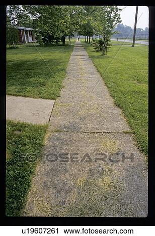 Stock Image - Sidewalk path. Fotosearch