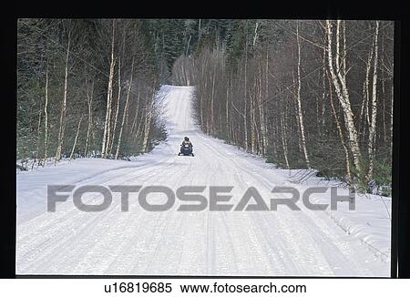 Stock Photography - Snowmobiling amoung the birch trees. Fotosearch