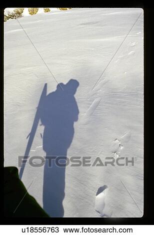 Stock Image - Snowshoe shadow. Fotosearch