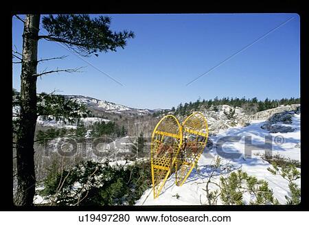 Stock Image - Snowshoes. Fotosearch