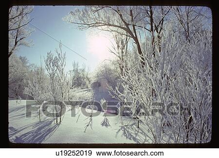 Stock Photo - Snowy landscape. Fotosearch