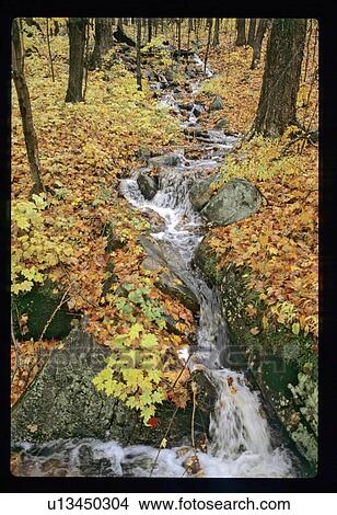Picture - Stream in the fall. Fotosearch