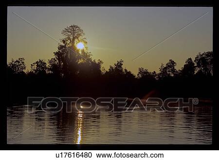 Sun setting over the lake View Large Photo Image Stock Image - Sun setting over the lake. Fotosearch