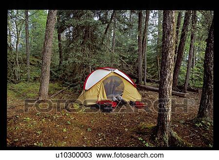 Tent in the woods View Large Photo Image Stock Image - Tent in the woods. Fotosearch